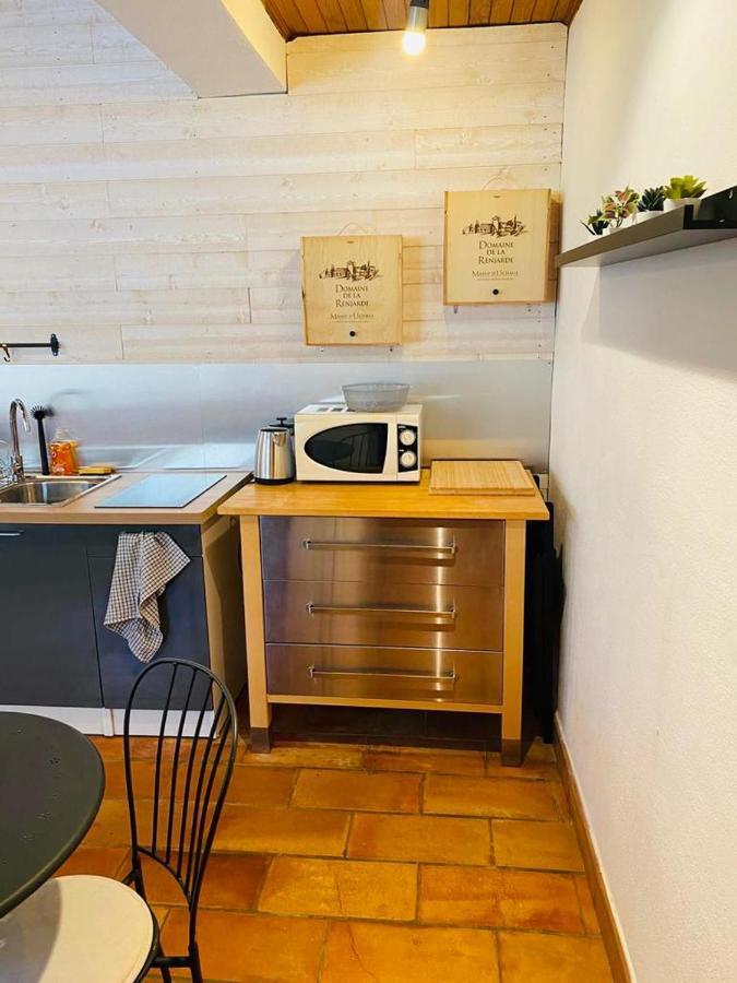 Studio Ile De La Barthelasse A Deux Pas Du Centre Avignon Exteriér fotografie