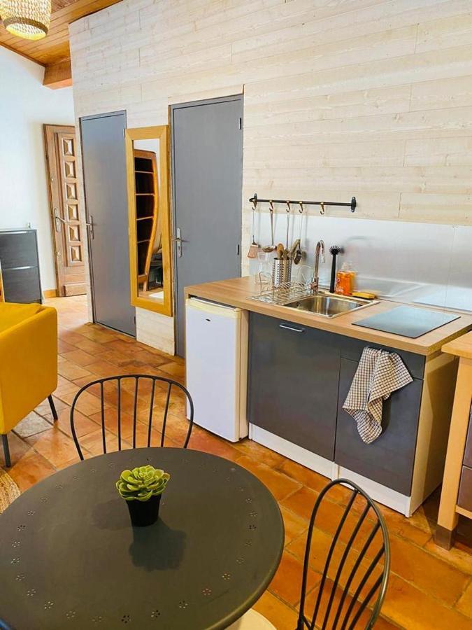 Studio Ile De La Barthelasse A Deux Pas Du Centre Avignon Exteriér fotografie
